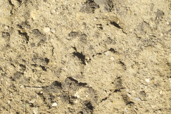 Garden soil