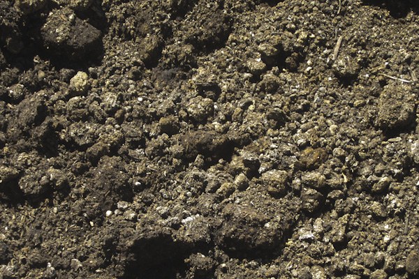 Mushroom compost