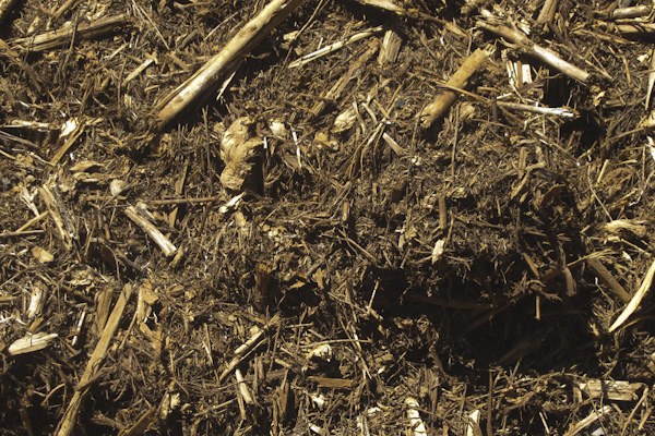 Tea tree mulch